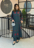 Dani Embroidery – 2PC Stitched Suit
